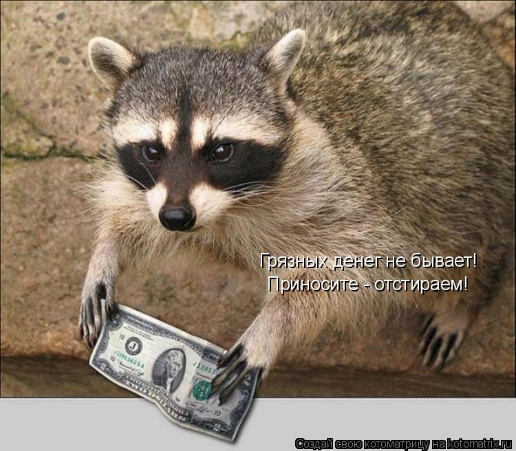 Котоматрица: Грязных денег не бывает! Приносите - отстираем!