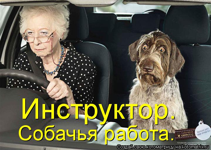 Инструктор. Собачья работа.... Котоматрица: Инструктор. Собачья работа.