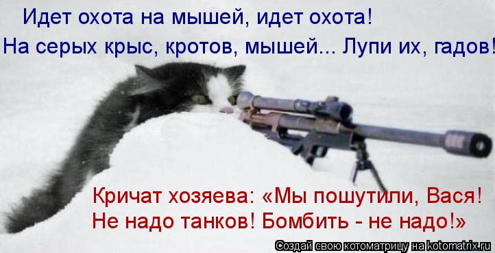 Котоматрица: Идет охота на мышей, идет охота! На серых крыс, кротов, мышей... Лупи их, гадов!  Кричат хозяева: «Мы пошутили, Вася! Не надо танков! Бомбить - не 