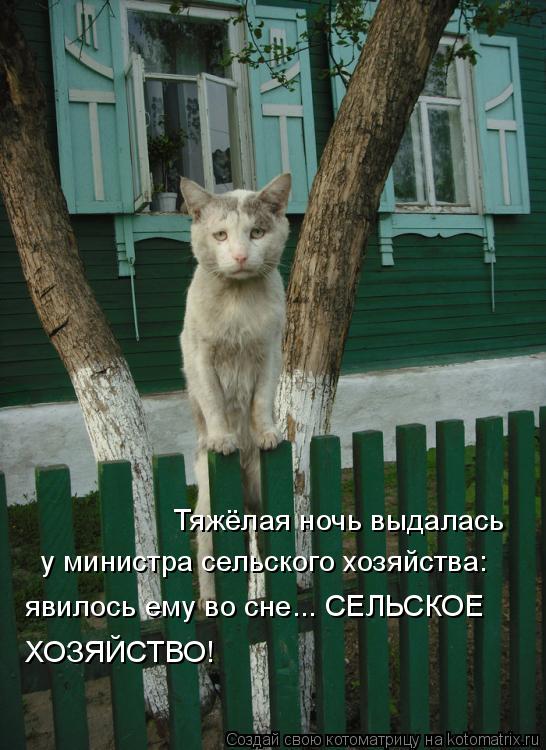 Котоматрица: Тяжёлая ночь выдалась  у министра сельского хозяйства:  явилось ему во сне... СЕЛЬСКОЕ  ХОЗЯЙСТВО!