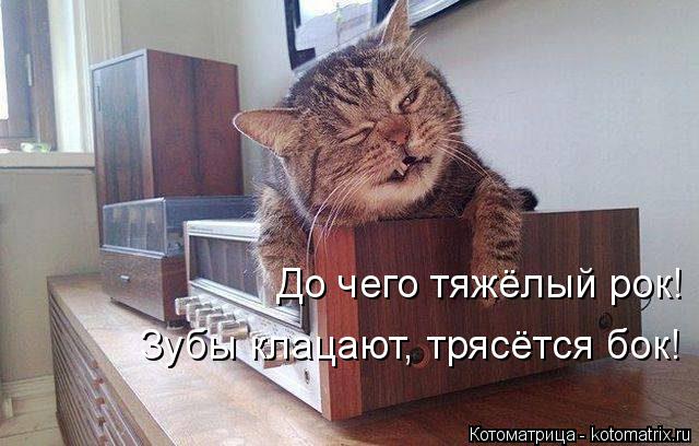 Котоматрица: До чего тяжёлый рок! Зубы клацают, трясётся бок!