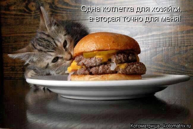 Котоматрица: Одна котлетка для хозяйки,  а вторая точно для меня!