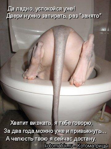 Котоматрица: Двери нужно запирать, раз "занято" Да ладно, успокойся уже! Хватит визжать, я тебе говорю, За два года,можно уже и привыкнуть... А челюсть твою 