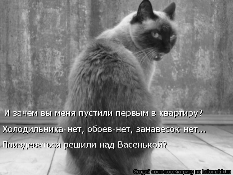 И зачем вы меня пустили первым в квартиру? Холодильника-нет, обоев-нет, занавесок-нет... Поиздеваться... Котоматрица: И зачем вы меня пустили первым в квартиру? Холодильника-нет, обоев-нет, занавесок-нет... Поиздеваться решили над Васенькой?