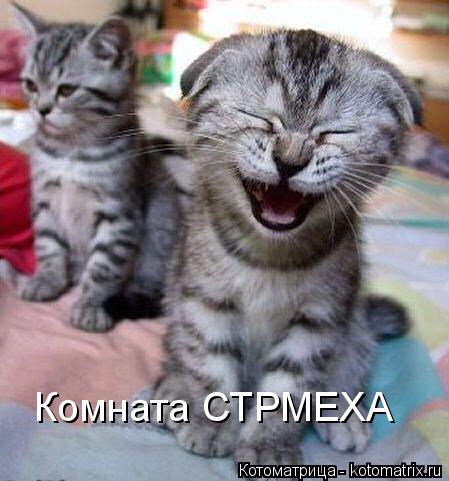Котоматрица: Комната СТРМЕХА
