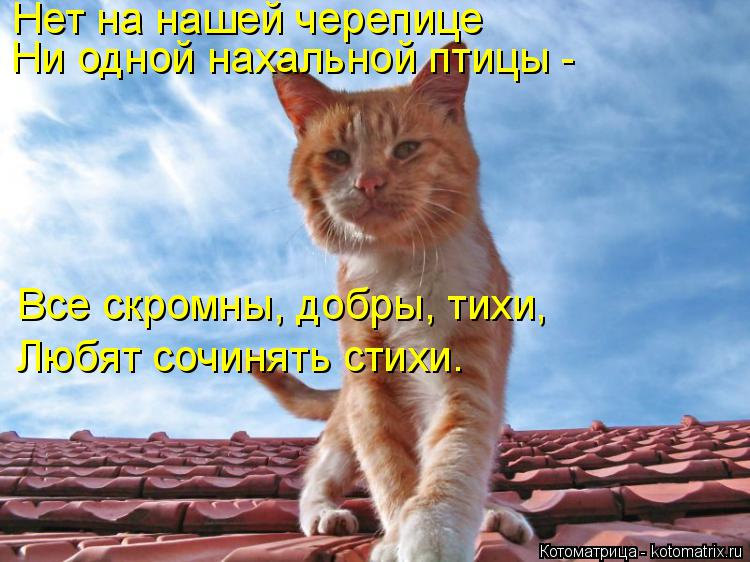 Нет на нашей черепице Ни одной нахальной птицы - Все скромны, добры, тихи, Любят сочинять стихи.... Котоматрица: Нет на нашей черепице Ни одной нахальной птицы - Все скромны, добры, тихи, Любят сочинять стихи.