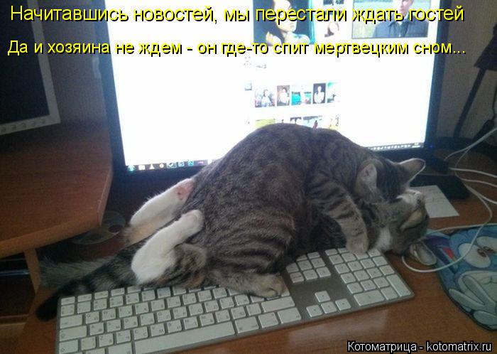 Котоматрица: Начитавшись новостей, мы перестали ждать гостей Да и хозяина не ждем - он где-то спит мертвецким сном...