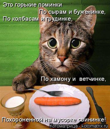 Котоматрица: Похороненной на мусорке свининке! Это горькие поминки  По сырам и буженинке,  По колбасам и грудинке,  По хамону и  ветчинке,