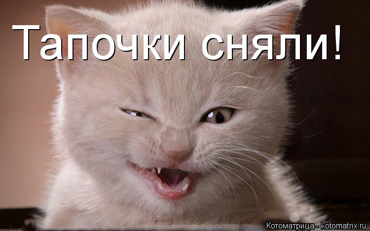 Котоматрица: Тапочки сняли!