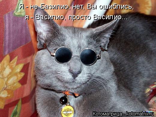 Котоматрица: Я - не Базилио, нет, Вы ошиблись, я - Василио, просто Василио...