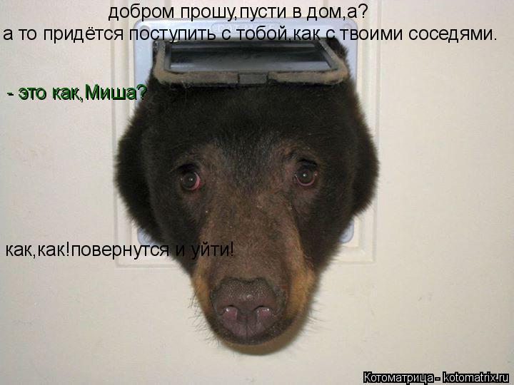 а то придётся поступить с тобой,как с твоими соседями. добром прошу,пусти в дом,а? - это как,Миша? ка... Котоматрица: а то придётся поступить с тобой,как с твоими соседями. добром прошу,пусти в дом,а? - это как,Миша? как,как!повернутся и уйти!