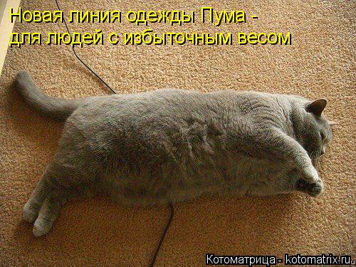 Новая линия одежды Пума - для людей с избыточным весом... Котоматрица: Новая линия одежды Пума - для людей с избыточным весом