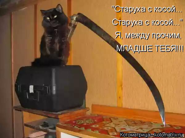 "Старуха с косой... "Старуха с косой... Старуха с косой..." Я, между прочим, МЛАДШЕ ТЕБЯ!!!... Котоматрица: "Старуха с косой... "Старуха с косой... Старуха с косой..." Я, между прочим, МЛАДШЕ ТЕБЯ!!!