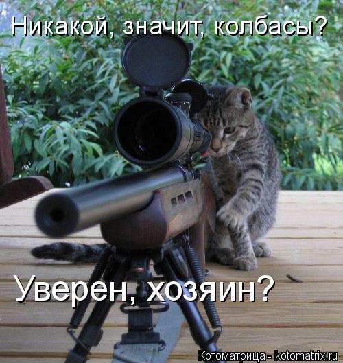 Никакой, значит, колбасы? Уверен, хозяин?... Котоматрица: Никакой, значит, колбасы? Уверен, хозяин?