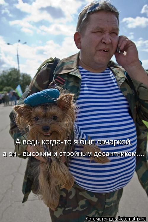 Котоматрица: А ведь когда-то я был овчаркой, а он - высоким и стройным десантником....