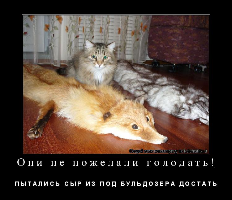 Они не пожелали голодать! П Ы Т А Л И С Ь С Ы Р И З П О Д Б У Л Ь Д О З Е Р А Д О С Т А Т Ь... Котоматрица: Они не пожелали голодать! П Ы Т А Л И С Ь С Ы Р И З П О Д Б У Л Ь Д О З Е Р А Д О С Т А Т Ь