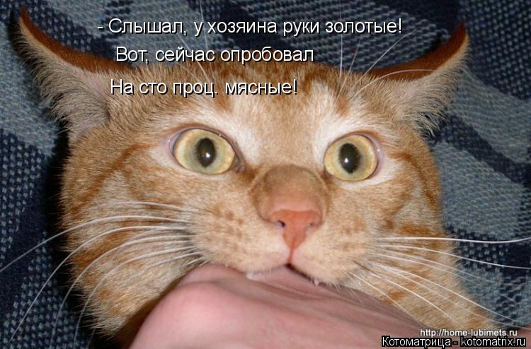 - Слышал, у хозяина руки золотые! Вот, сейчас опробовал На сто проц. мясные!... Котоматрица: - Слышал, у хозяина руки золотые! Вот, сейчас опробовал На сто проц. мясные!