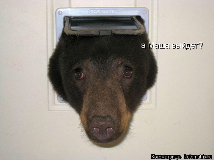 а Маша выйдет?... Котоматрица: а Маша выйдет?