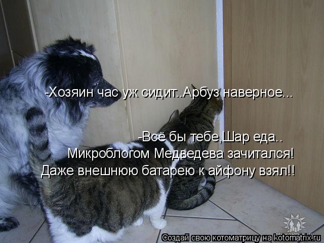 Котоматрица: -Хозяин час уж сидит..Арбуз наверное... -Всё бы тебе,Шар еда.. Микроблогом Медведева зачитался! Даже внешнюю батарею к айфону взял!!