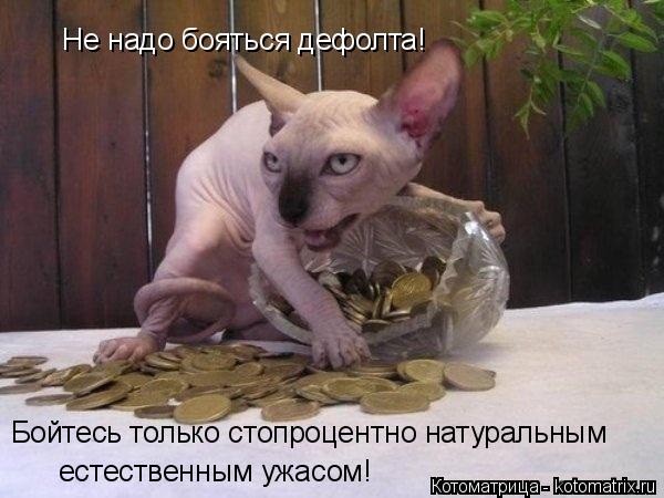 Не надо бояться дефолта! Бойтесь только стопроцентно натуральным естественным ужасом!... Котоматрица: Не надо бояться дефолта! Бойтесь только стопроцентно натуральным естественным ужасом!