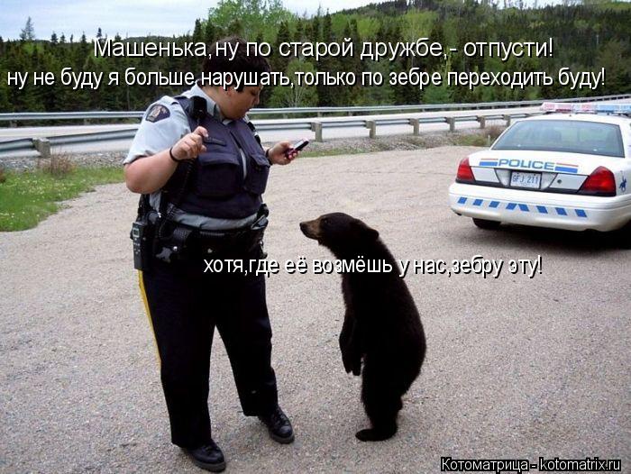 Котоматрица: Машенька,ну по старой дружбе,- отпусти! ну не буду я больше нарушать,только по зебре переходить буду! хотя,где её возмёшь у нас,зебру эту!