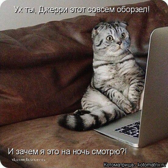 Ух ты, Джерри этот совсем оборзел! И зачем я это на ночь смотрю?!... Котоматрица: Ух ты, Джерри этот совсем оборзел! И зачем я это на ночь смотрю?!