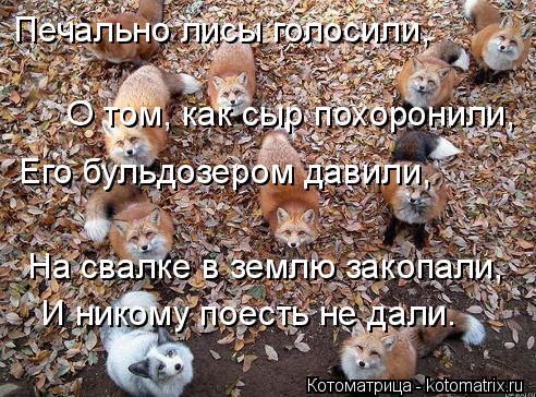 Печально лисы голосили, О том, как сыр похоронили, Его бульдозером давили, На свалке в землю закопали... Котоматрица: Печально лисы голосили, О том, как сыр похоронили, Его бульдозером давили, На свалке в землю закопали, И никому поесть не дали.