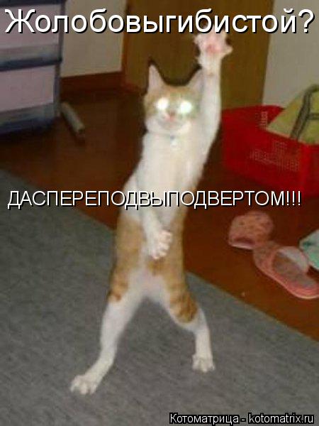Жолобовыгибистой? ДАСПЕРЕПОДВЫПОДВЕРТОМ!!!... Котоматрица: Жолобовыгибистой? ДАСПЕРЕПОДВЫПОДВЕРТОМ!!!