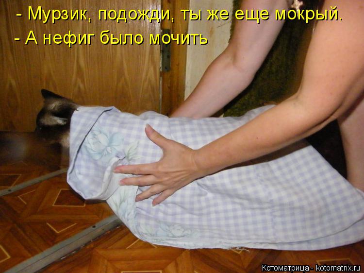 - Мурзик, подожди, ты же еще мокрый. - А нефиг было мочить... Котоматрица: - Мурзик, подожди, ты же еще мокрый. - А нефиг было мочить