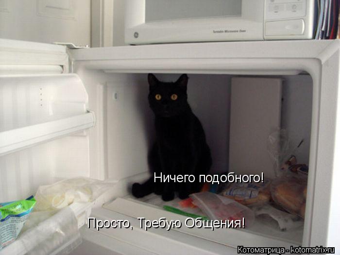 Ничего подобного! Просто, Требую Общения!... Котоматрица: Ничего подобного! Просто, Требую Общения!