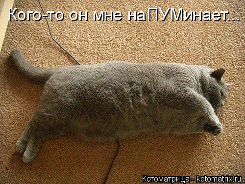 Кого-то он мне наПУМинает...... Котоматрица: Кого-то он мне наПУМинает...