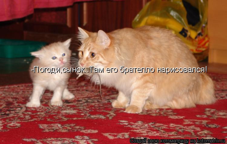 -Погоди,сынок..Там его брателло нарисовался!... Котоматрица: -Погоди,сынок..Там его брателло нарисовался!