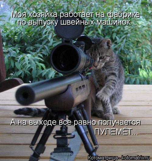 Моя хозяйка работает на фабрике по выпуску швейных машинок... А на выходе все равно получается ПУЛЕМЁ... Котоматрица: Моя хозяйка работает на фабрике по выпуску швейных машинок... А на выходе все равно получается ПУЛЕМЁТ...
