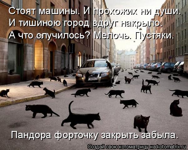 Стоят машины. И прохожих ни души. И тишиною город вдруг накрыло. А что случилось? Мелочь. Пустяки. Па... Котоматрица: Стоят машины. И прохожих ни души. И тишиною город вдруг накрыло. А что случилось? Мелочь. Пустяки. Пандора форточку закрыть забыла.
