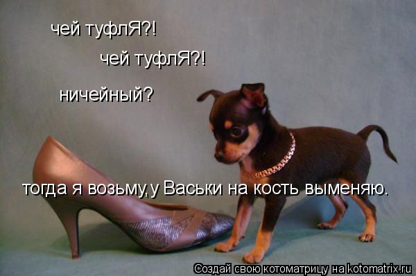 чей туфлЯ?! чей туфлЯ?! ничейный? тогда я возьму,у Васьки на кость выменяю.... Котоматрица: чей туфлЯ?! чей туфлЯ?! ничейный? тогда я возьму,у Васьки на кость выменяю.