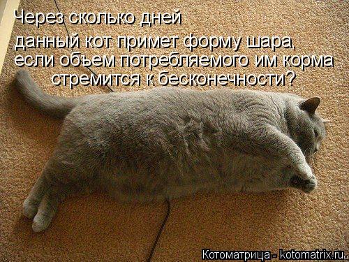 Через сколько дней данный кот примет форму шара, если объем потребляемого им корма стремится к беско... Котоматрица: Через сколько дней данный кот примет форму шара, если объем потребляемого им корма стремится к бесконечности?