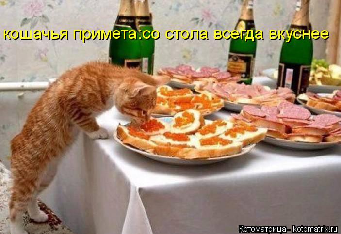 кошачья примета:со стола всегда вкуснее... Котоматрица: кошачья примета:со стола всегда вкуснее