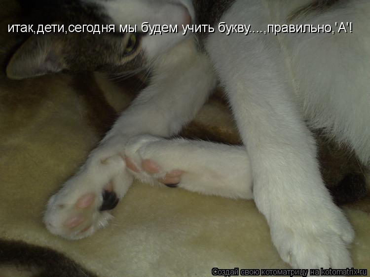 итак,дети,сегодня мы будем учить букву....,правильно,'A'!... Котоматрица: итак,дети,сегодня мы будем учить букву....,правильно,'A'!