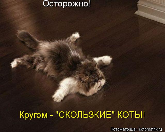 Осторожно! Кругом - "СКОЛЬЗКИЕ" КОТЫ!... Котоматрица: Осторожно! Кругом - "СКОЛЬЗКИЕ" КОТЫ!