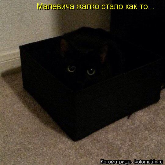 Малевича жалко стало как-то...... Котоматрица: Малевича жалко стало как-то...