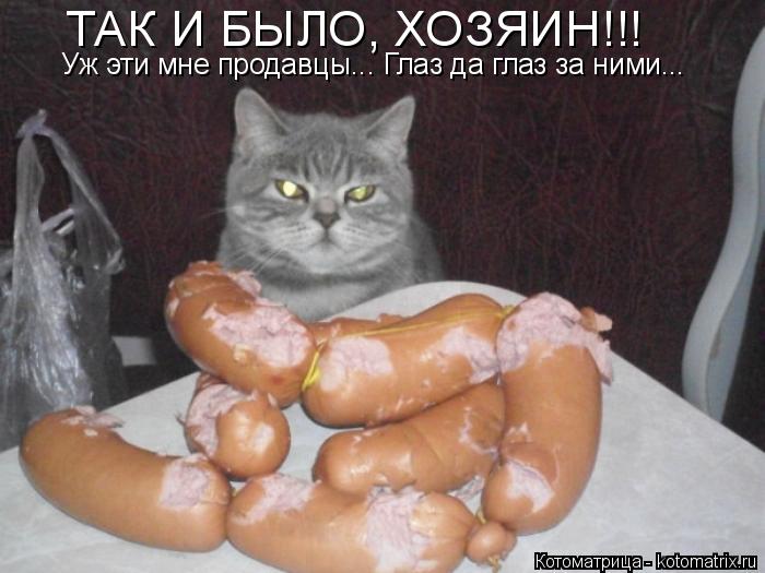 ТАК И БЫЛО, ХОЗЯИН!!! Уж эти мне продавцы... Глаз да глаз за ними...... Котоматрица: ТАК И БЫЛО, ХОЗЯИН!!! Уж эти мне продавцы... Глаз да глаз за ними...