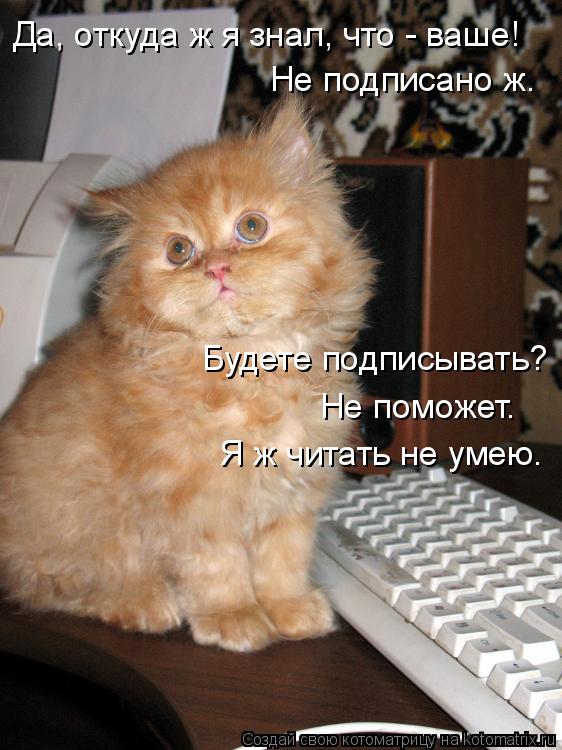 Котоматрица: Да, откуда ж я знал, что - ваше! Не подписано ж. Будете подписывать? Не поможет. Я ж читать не умею.