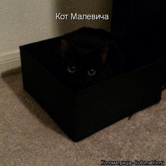 Кот Малевича... Котоматрица: Кот Малевича