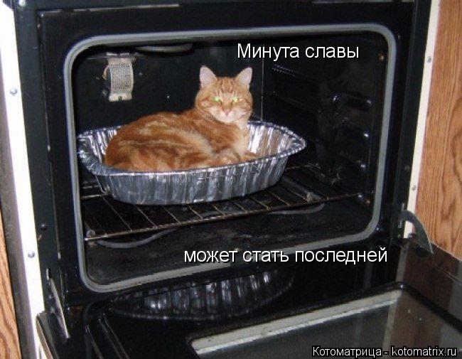Минута славы может стать последней... Котоматрица: Минута славы может стать последней