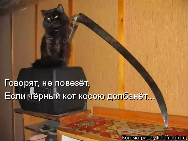 Говорят, не повезёт, Если чёрный кот косою долбанёт...... Котоматрица: Говорят, не повезёт, Если чёрный кот косою долбанёт...