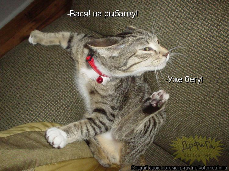 -Вася! на рыбалку! -Уже бегу!... Котоматрица: -Вася! на рыбалку! -Уже бегу!