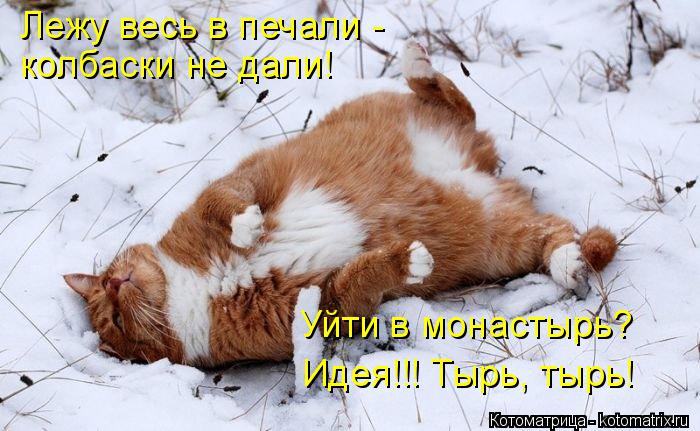 Лежу весь в печали - колбаски не дали! Уйти в монастырь? Идея!!! Тырь, тырь!... Котоматрица: Лежу весь в печали - колбаски не дали! Уйти в монастырь? Идея!!! Тырь, тырь!