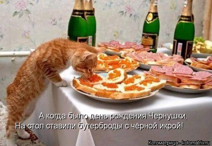 Котоматрица: А когда было день рождения Чернушки, На стол ставили бутерброды с чёрной икрой!