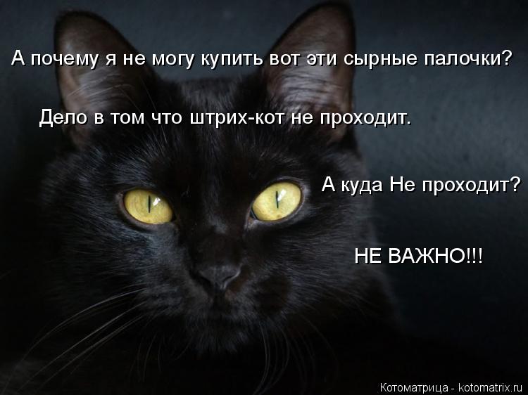 А почему я не могу купить вот эти сырные палочки? Дело в том что штрих-кот не проходит. А куда Не про... Котоматрица: А почему я не могу купить вот эти сырные палочки? Дело в том что штрих-кот не проходит. А куда Не проходит? НЕ ВАЖНО!!!