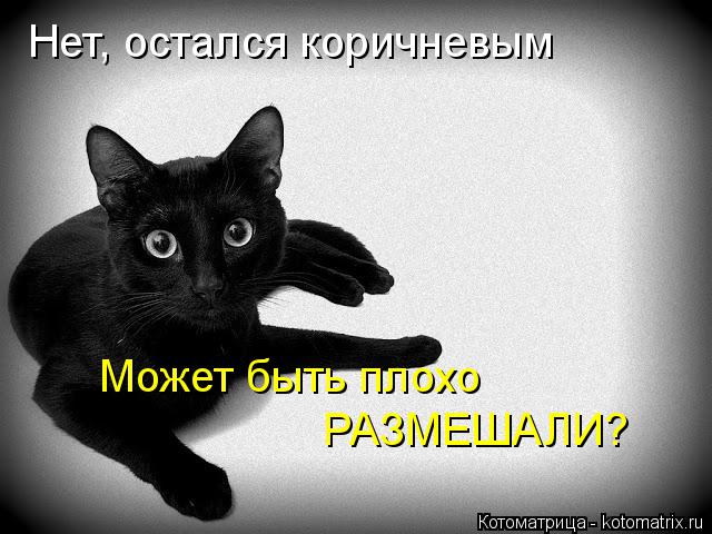 Нет, остался коричневым Может быть плохо РАЗМЕШАЛИ?... Котоматрица: Нет, остался коричневым Может быть плохо РАЗМЕШАЛИ?